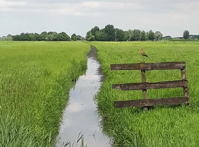 Апартаменты Aan De Kwakel *