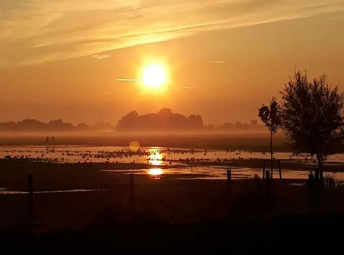 Aan De Kwakel شقة Maasland