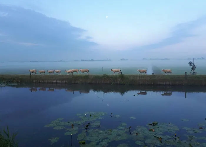 Апартаменты Aan De Kwakel